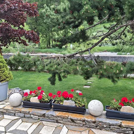 Aquarell Domek alpejski Saas-Grund