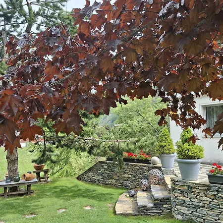 Aquarell * Saas-Grund