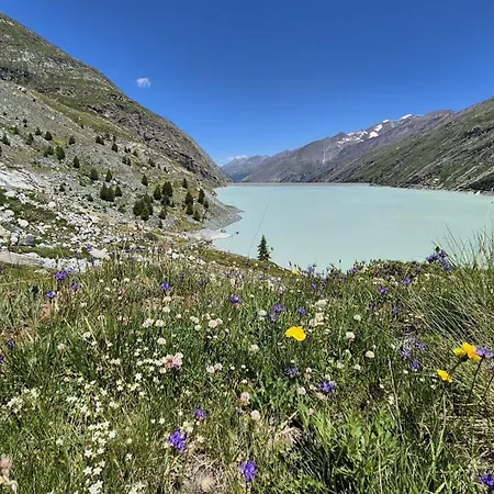 Aquarell * Saas-Grund